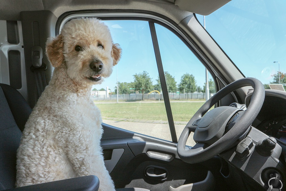 Springtime Is the Perfect Time to Change Your Air Filter